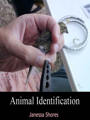 cover image of Animal Identification